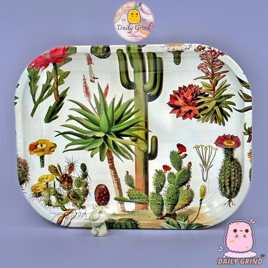 Vintage Art Cactus Flowers Chart Desert Plants - Multi-Use Metal Tray Storage Plate - 14x17.5cm - Christmas Gift