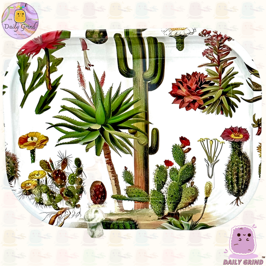 Gráfico de flores de cactus de arte vintage, plantas del desierto, bandeja de metal de 14x18 cm para joyería, cristales, baratijas, piezas, mesa, regalo ordenado
