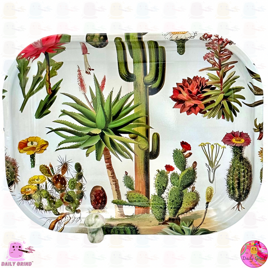 Vintage Art Cactus Flowers Chart Desert Plants - 14x18cm Metal Tray for Jewellery Crystals Trinkets Bits Pieces Table Tidy  Gift