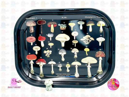 Vintage Mushroom Varieties Fungi Species Chart Nature Forage- 14x18cm Metal Tray Surface Jewellery Crystals Bits Trinkets  Gift